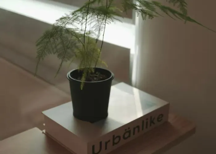 Apartment Seongsu 10 Minutes, K-architectural Designers' Unique House